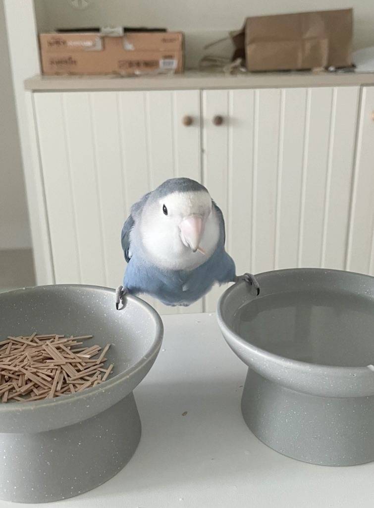 [잡담] 얜 도대체 왜이러는걸까 | 인스티즈