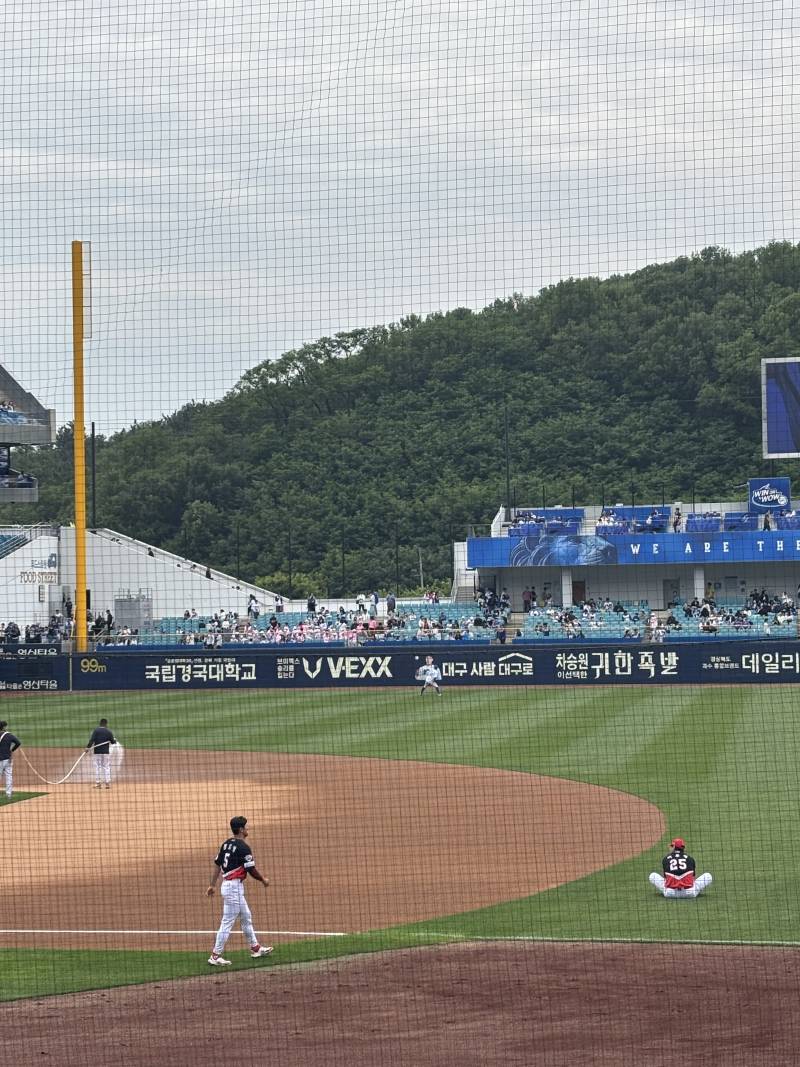 🐯❤️💛 | 인스티즈