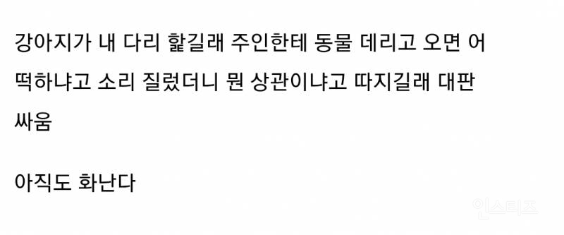 사전투표 하러 갔는데 뒷사람이 강아지 데리고 와서 싸움.jpg | 인스티즈