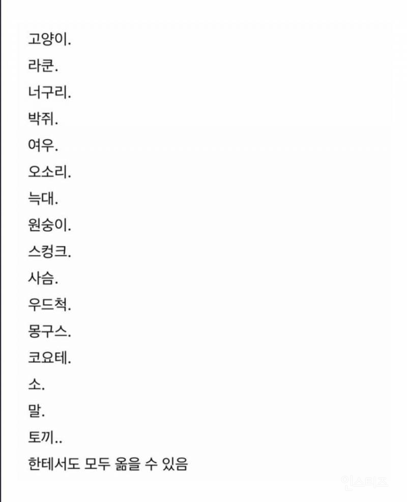 치사율 99% 이상이라는 발병후 죽는다고 생각하면 된다는 무서운 바이러스 .jpg | 인스티즈