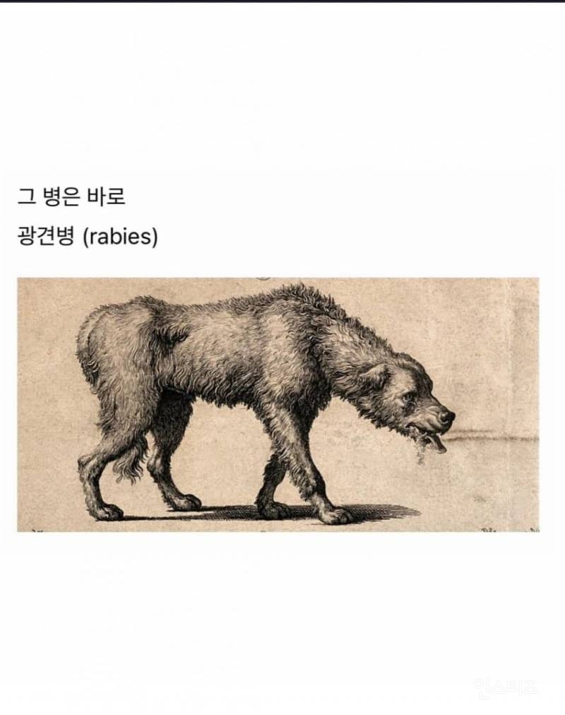  발병후 치사율 99% 이상이라는 무서운 바이러스 .jpg