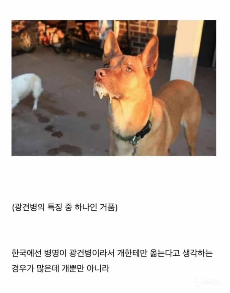 치사율 99% 이상이라는 발병후 죽는다고 생각하면 된다는 무서운 바이러스 .jpg | 인스티즈