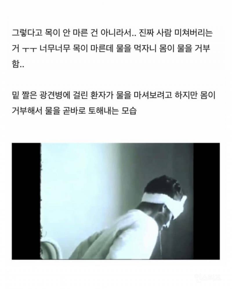 치사율 99% 이상이라는 발병후 죽는다고 생각하면 된다는 무서운 바이러스 .jpg | 인스티즈