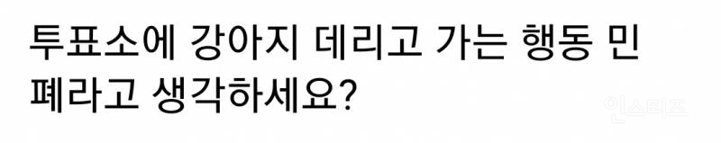  투표소에 강아지 데리고 가는 행동 민폐라고 생각하세요?5