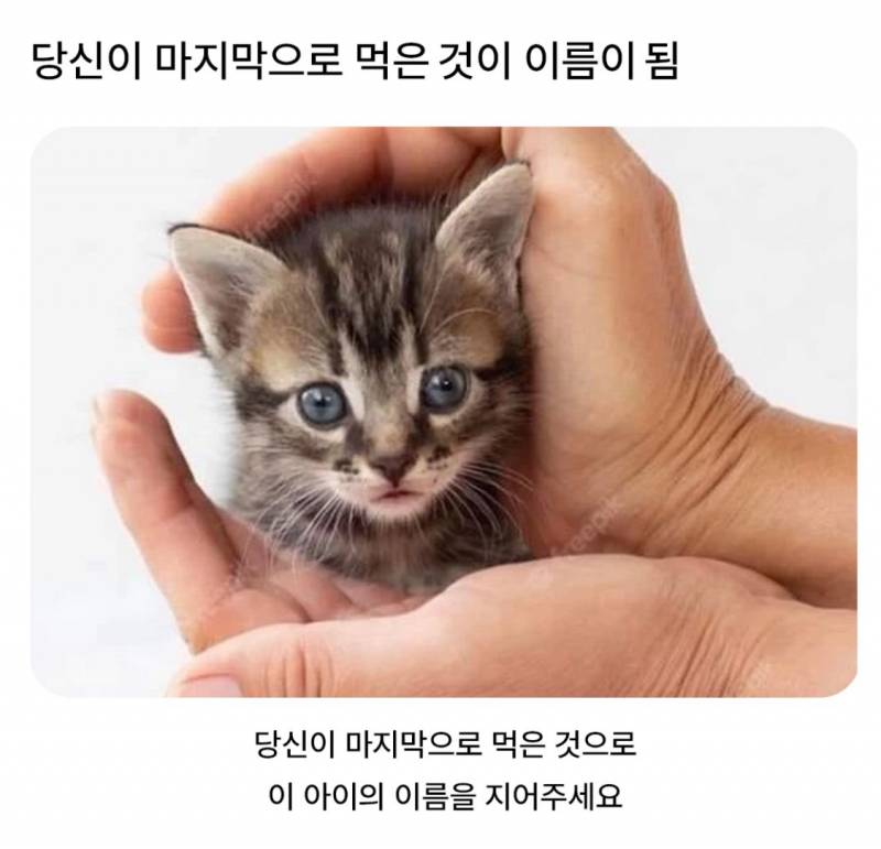  당신이 마지막으로 먹은 것이 이름이 됨.JPG3