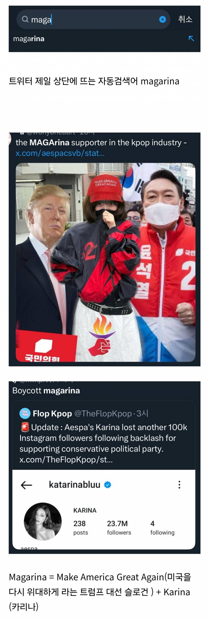  현재 해외에서 새로 생긴 카리나 별명....