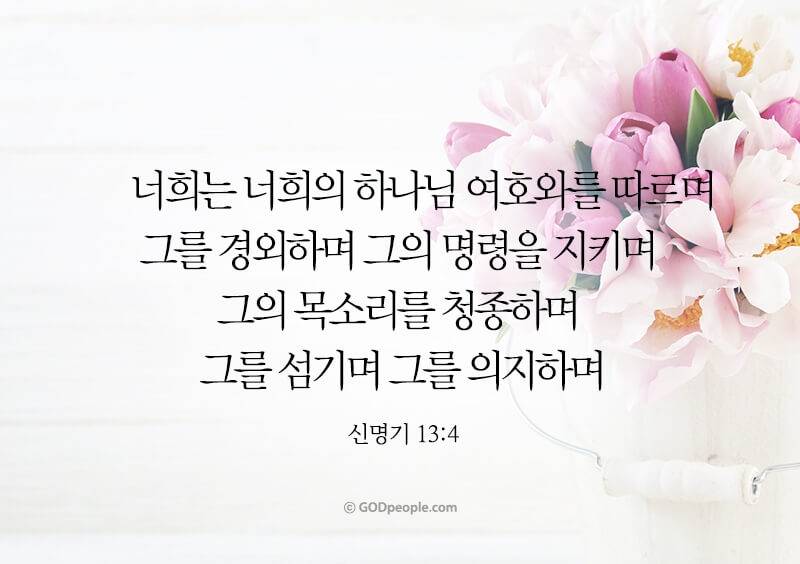 [잡담] 모든 성도들에게 크시고 위대하신 하나님의 복이 넘치기를💜 | 인스티즈