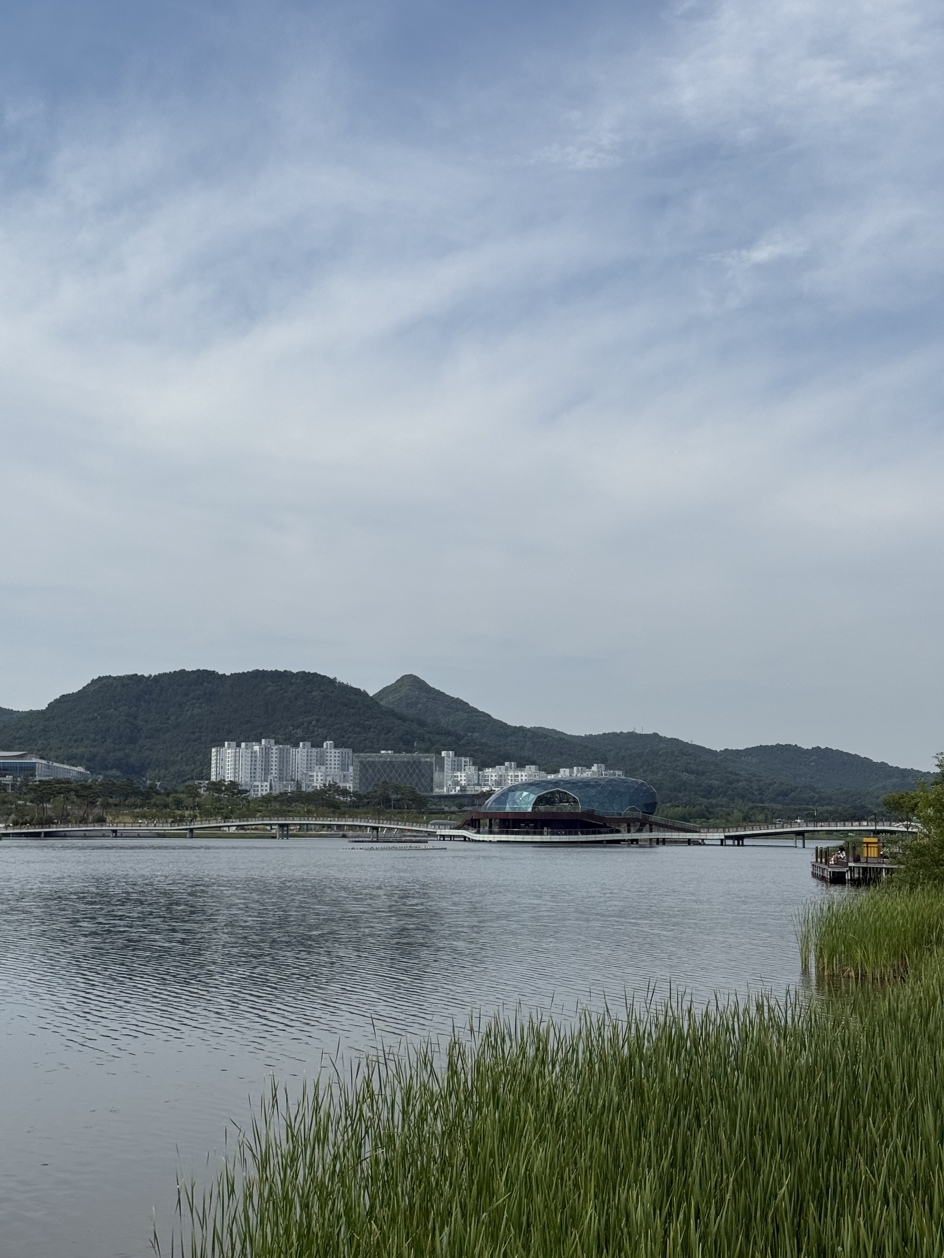 [잡담] 세종 처음 가봤는데 ㄹㅇ 미래도시 같음.. 살기 좋아보임 | 인스티즈