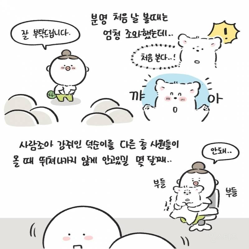 강아지를 1년만에 만났을때(강아지 사진 有) | 인스티즈