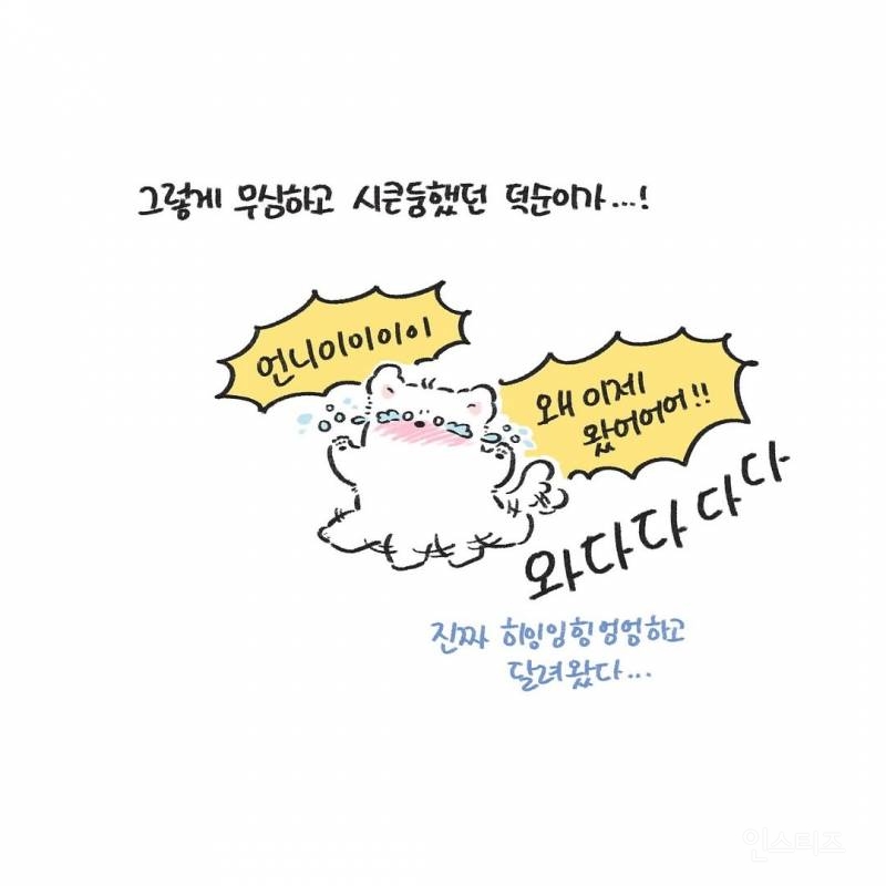 강아지를 1년만에 만났을때(강아지 사진 有) | 인스티즈