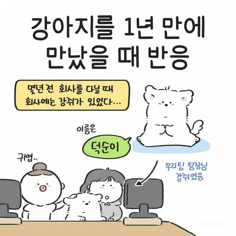 강아지를 1년만에 만났을때(강아지 사진 有) | 인스티즈