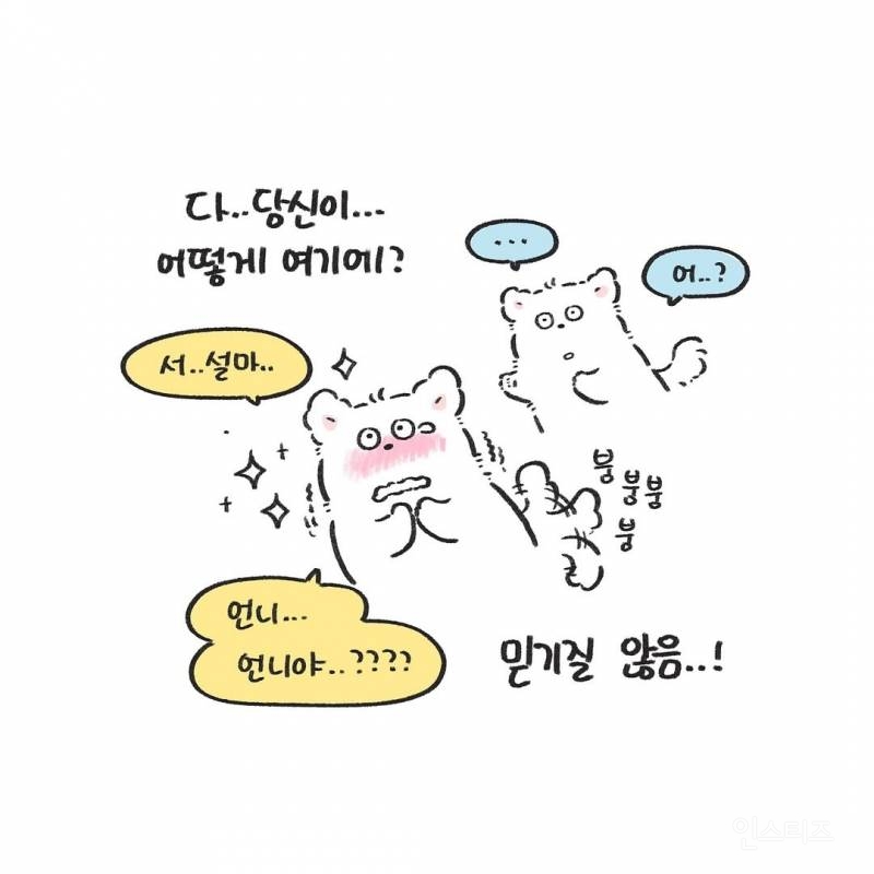 강아지를 1년만에 만났을때(강아지 사진 有) | 인스티즈