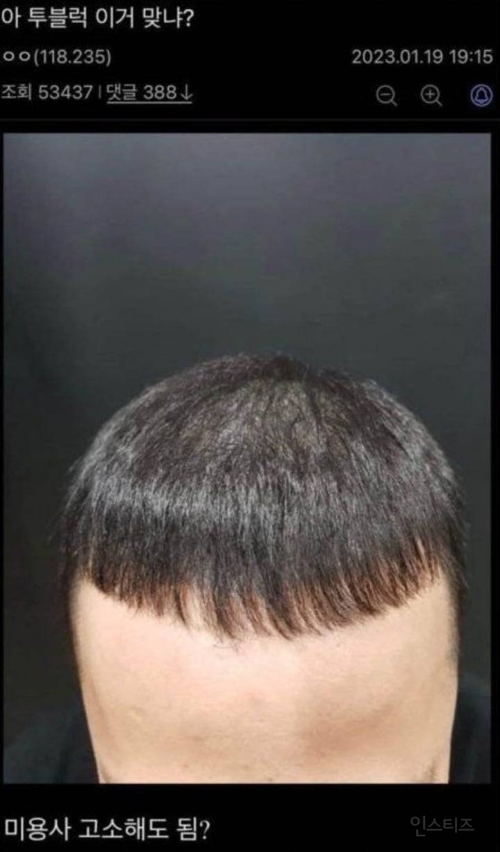 망한 머리 모음 | 인스티즈