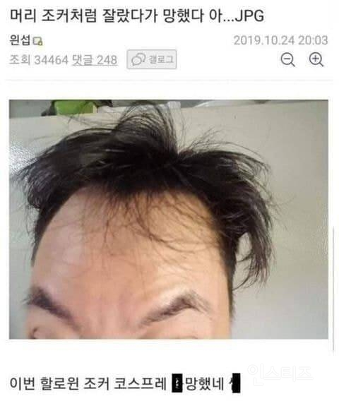 망한 머리 모음 | 인스티즈