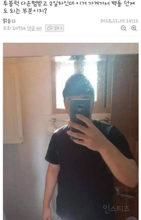 망한 머리 모음 | 인스티즈