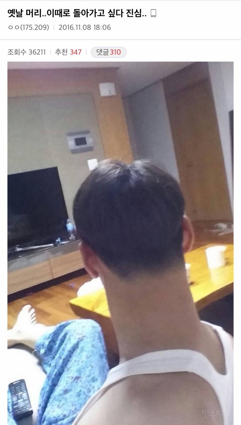 망한 머리 모음 | 인스티즈