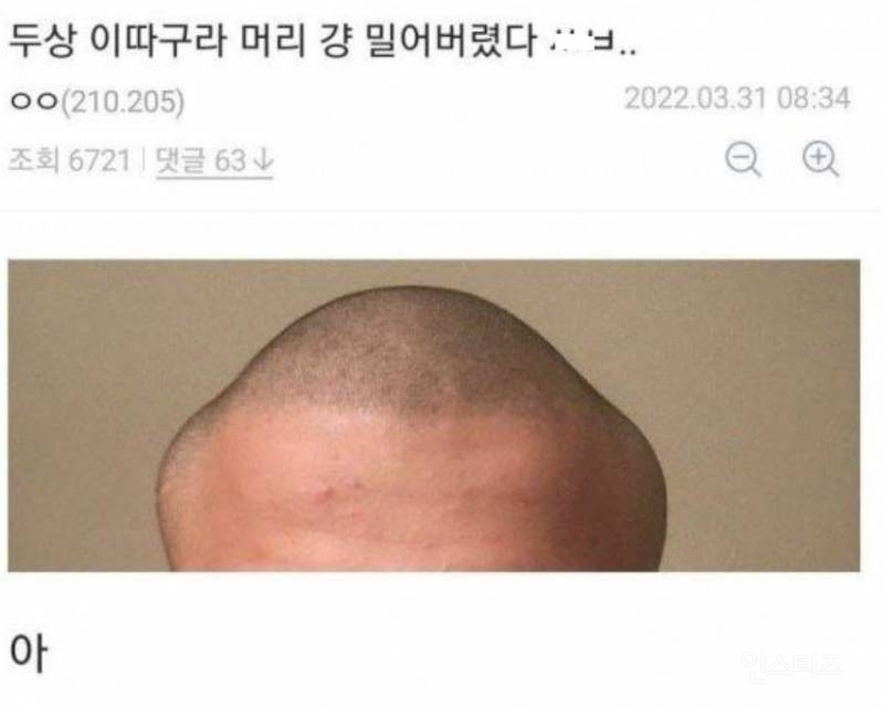 망한 머리 모음 | 인스티즈