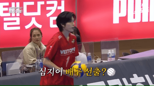 요즘 잘생김이 기본값인 것 같은 배구선수 .jpgif | 인스티즈