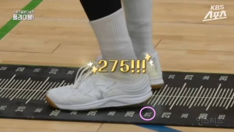 배구 선출 두명 얼굴합 미쳤음 .. jpg | 인스티즈