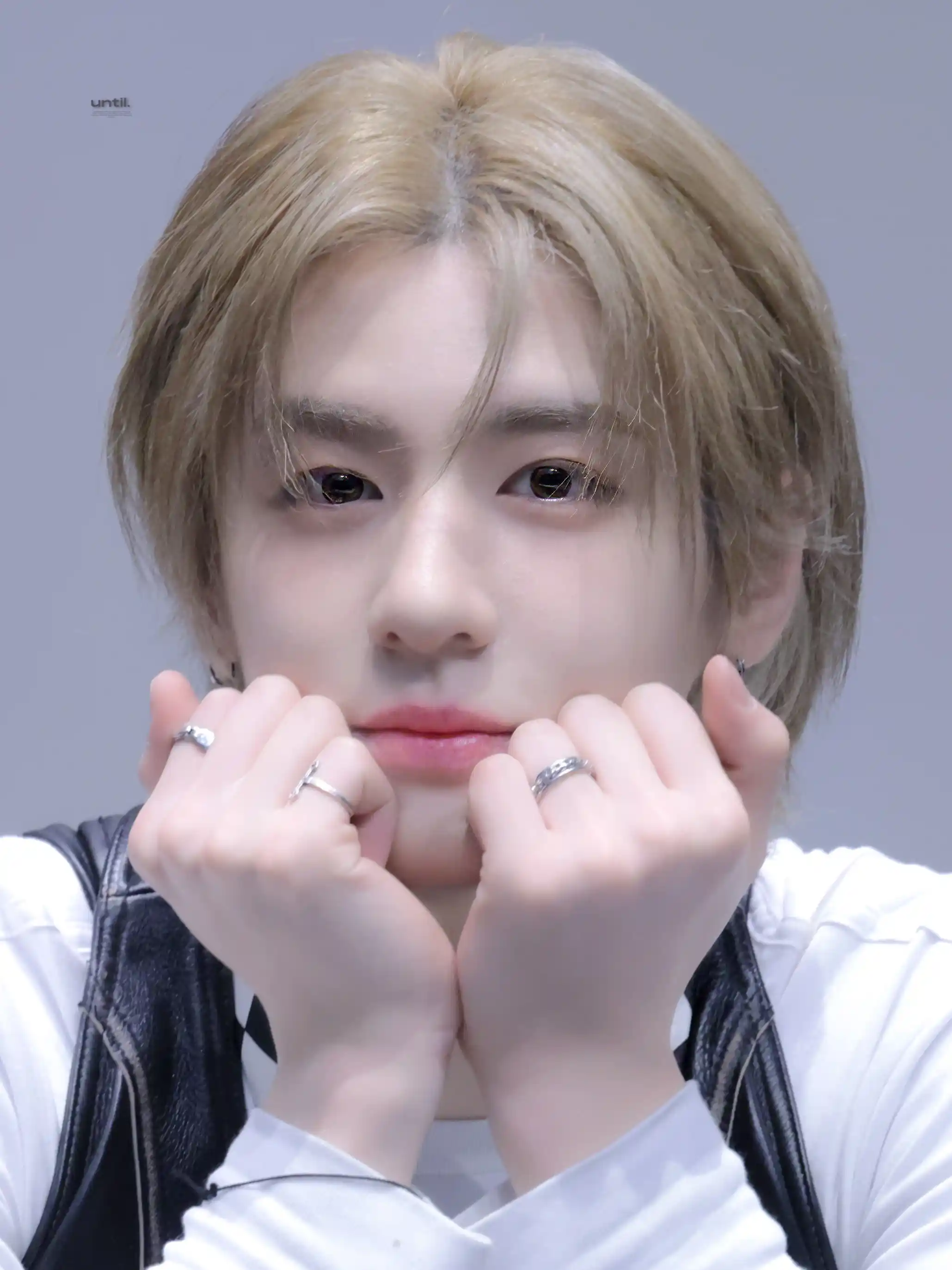 김이한 김동현 햔왼 햔른 프리뷰 고화질 (16) webp 공유 | 인스티즈