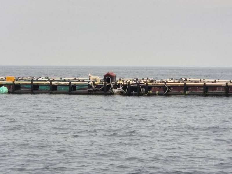 현재 스레드에서 난리난 글....jpg | 인스티즈