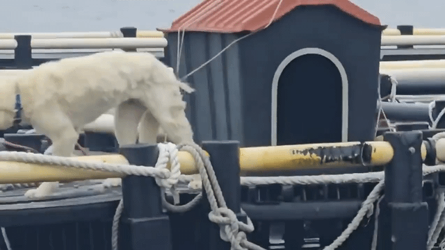 현재 스레드에서 난리난 글....jpg | 인스티즈