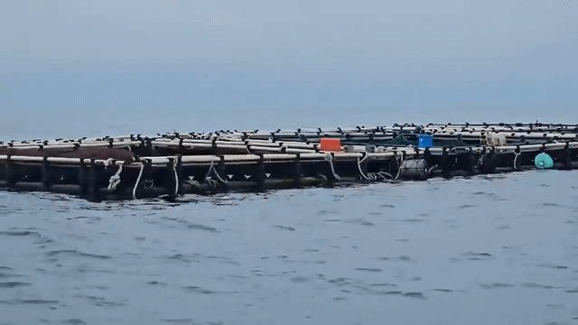 현재 스레드에서 난리난 글....jpg | 인스티즈