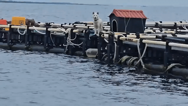 현재 스레드에서 난리난 글....jpg | 인스티즈