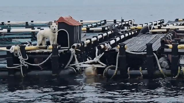 현재 스레드에서 난리난 글....jpg | 인스티즈