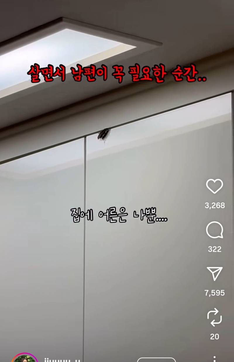 [잡담] 이럴 땐 진짜 남편이 필요하겠다... | 인스티즈