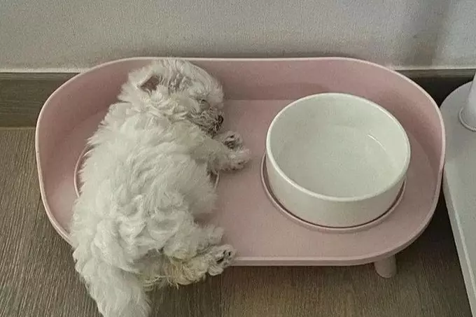 =͟͟͞͞➳❥ | 인스티즈