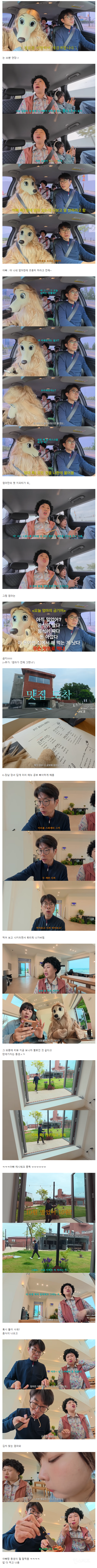 펌글) 이번엔 진짜 좋게 좋게 다녀오려고 했지만 또 실패한 가좍 여행 ^^ | 인스티즈