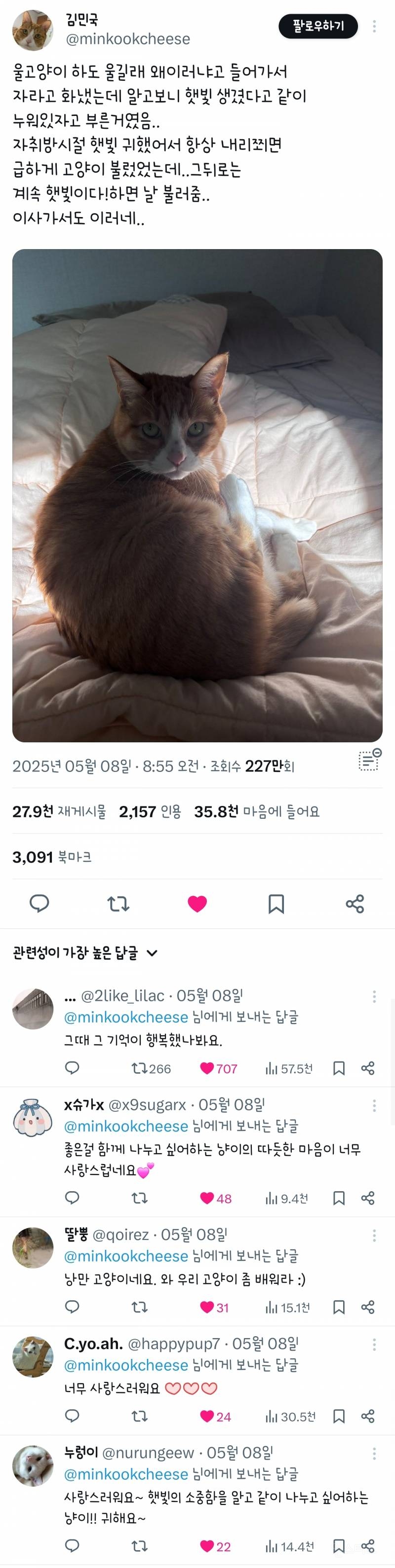  고양이가 하도 울길래 왜 이러나 했더니...2