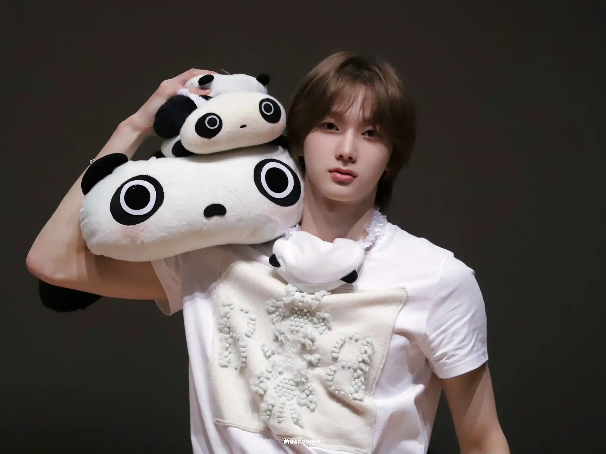 박성호 호왼 호른 위*스 라이브 캡처 (4) webp + 박성호 고화질 프리뷰 (10) webp 공유 | 인스티즈