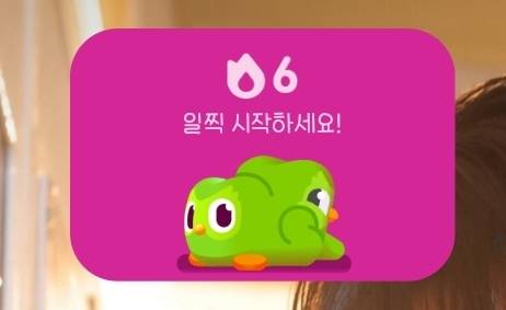 [잡담] 듀오링고말고 다른 좋은 회화 앱 없나; | 인스티즈