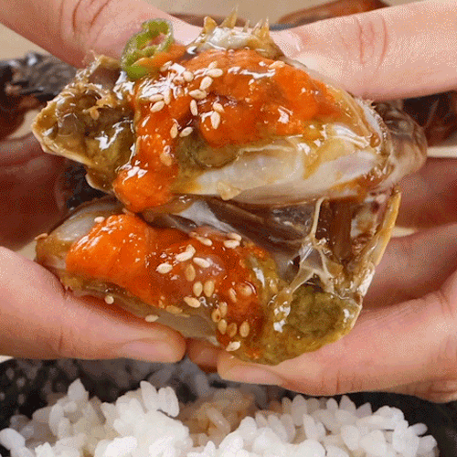 🦀 간장게장 VS 양념게장 🦀 | 인스티즈