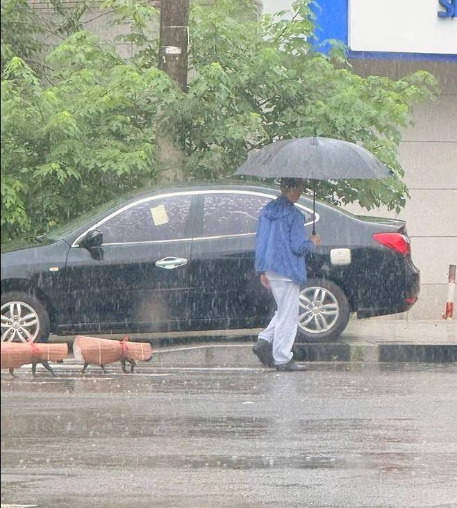  강아지 비 안 맞게 만들어준 우비.JPG2