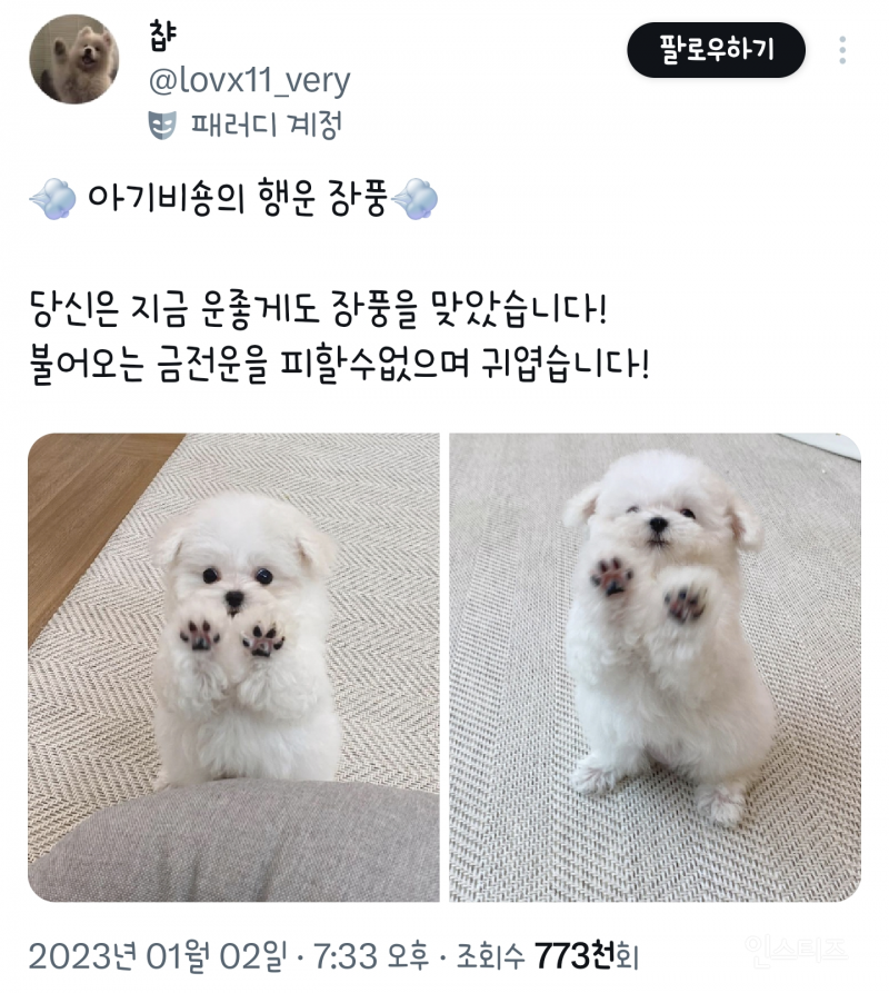  당신은 지금 운좋게도 장풍을 맞았습니다!1