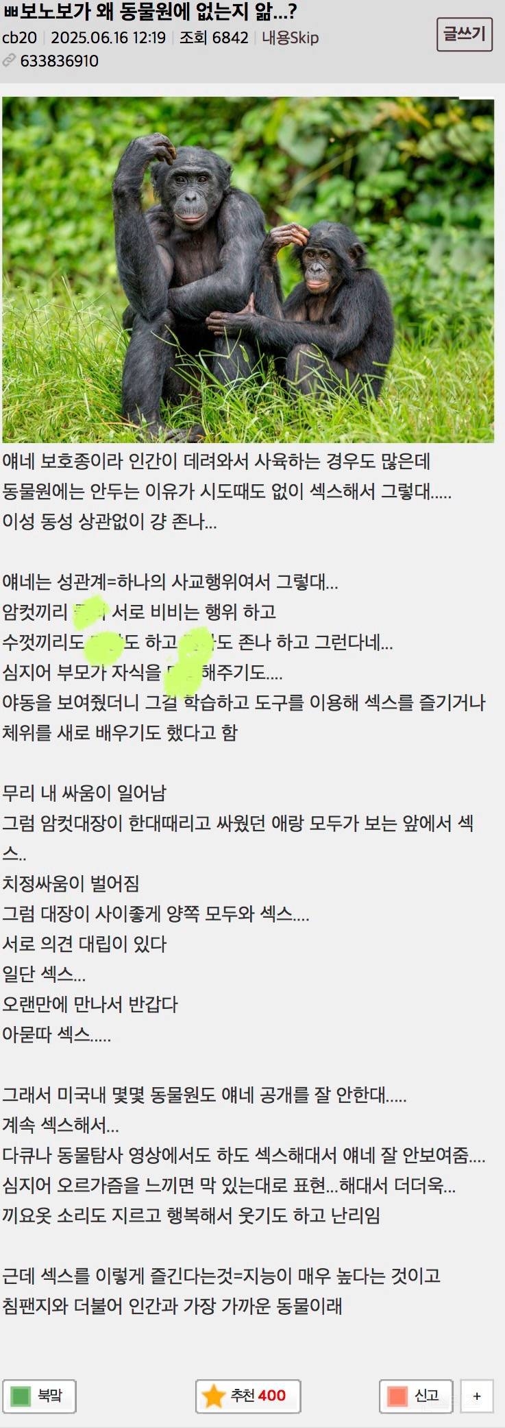  19금 주의) 보노보가 왜 동물원에 없는지 앎...?15
