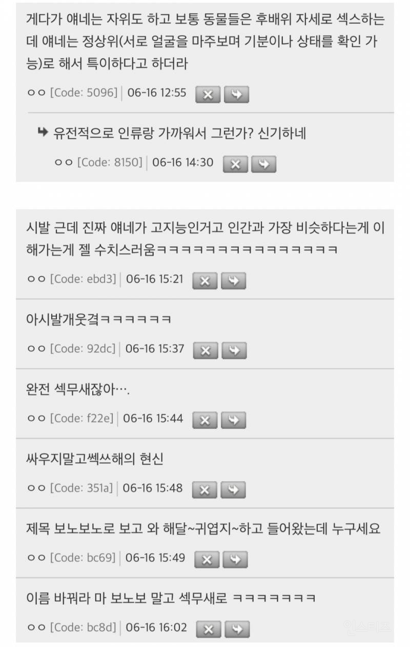 19금 주의) 보노보가 왜 동물원에 없는지 앎...? | 인스티즈