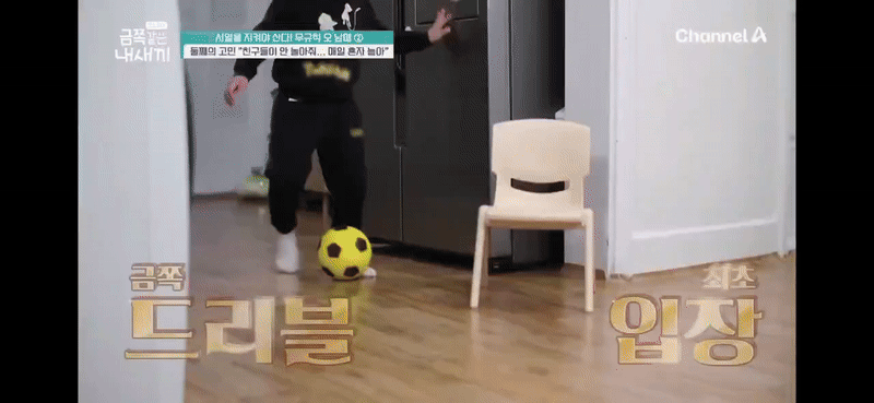  금쪽이 입장 레전드.gif2