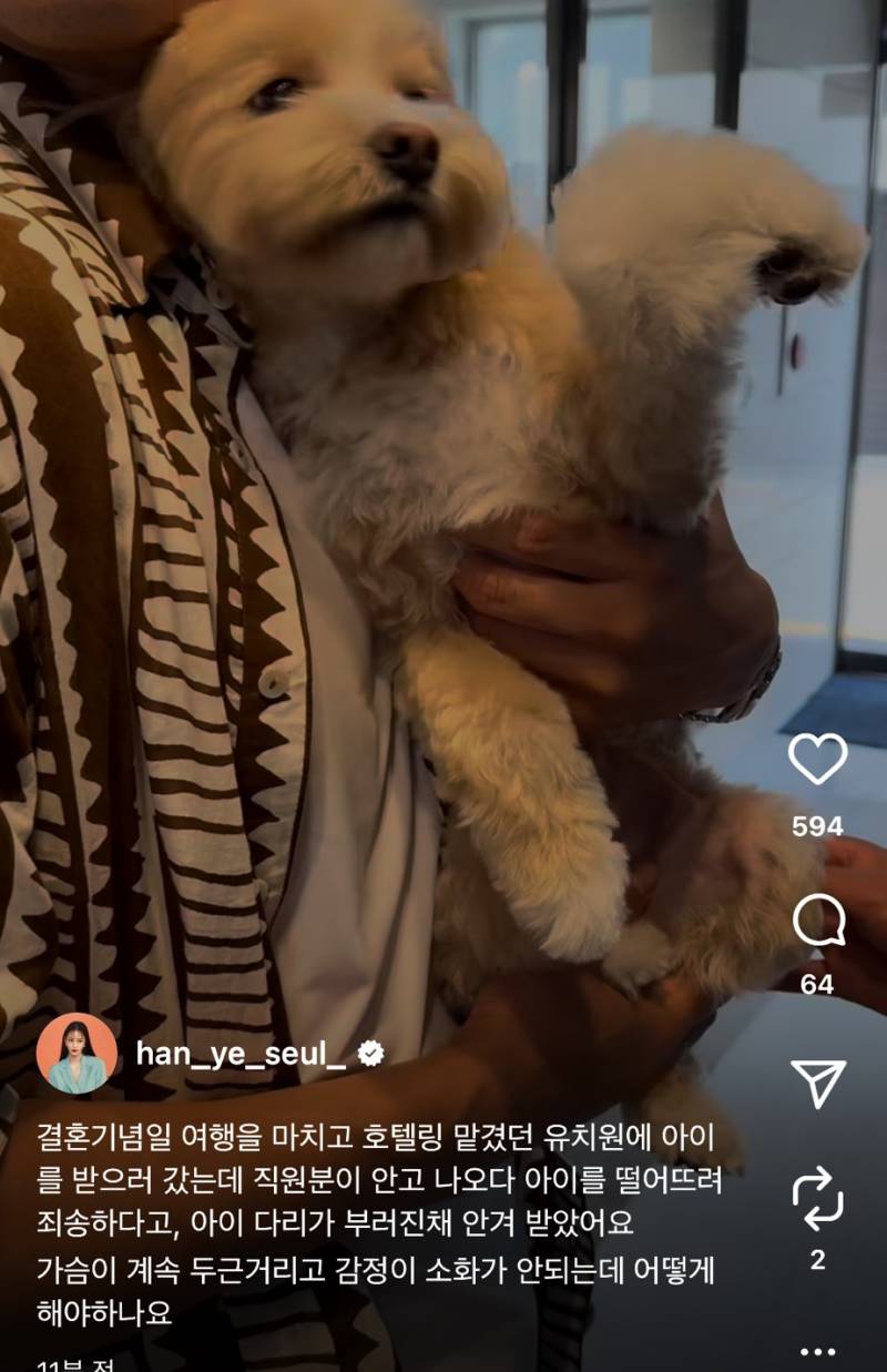  방금 올라온 한예슬 강아지 충격적인 상태..jpg49
