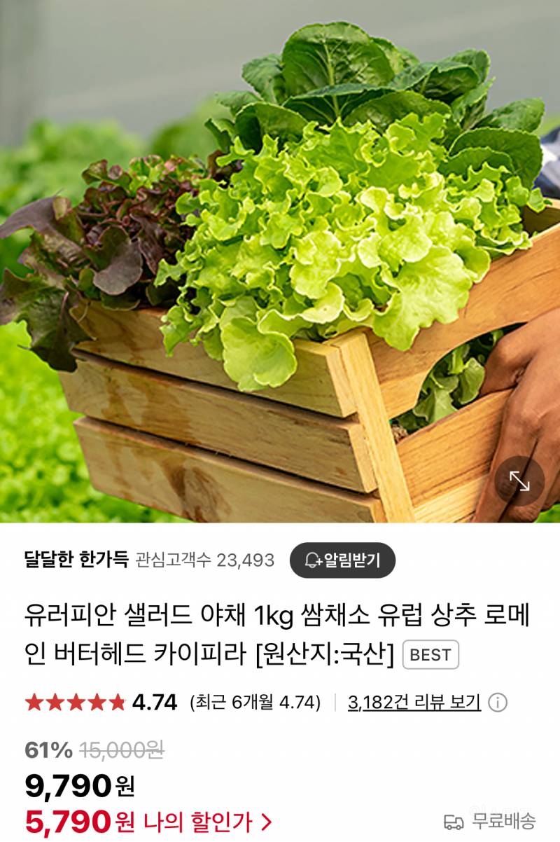  요즘 로메인이 진짜 제철인가봐3
