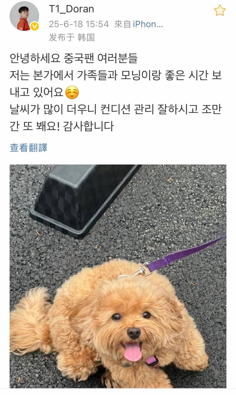 [잡담] 모닝이 진짜 귀여워ㅠㅠㅠㅠ | 인스티즈