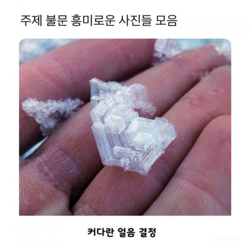  흥미로운 사진들 모음