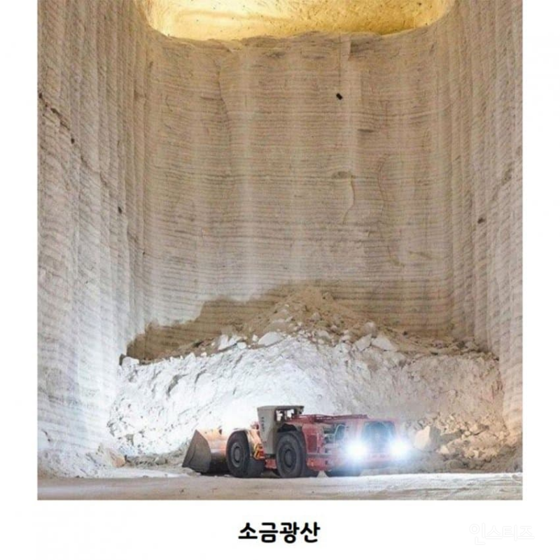 흥미로운 사진들 모음 | 인스티즈