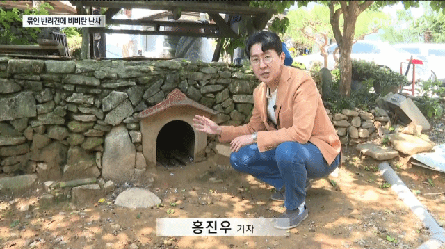 강아지한테 비비탄 쏜 사건 난리난 이유.jpg | 인스티즈