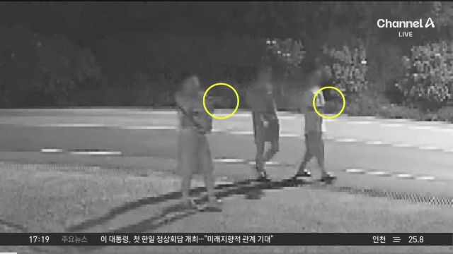 강아지한테 비비탄 쏜 사건 난리난 이유.jpg | 인스티즈