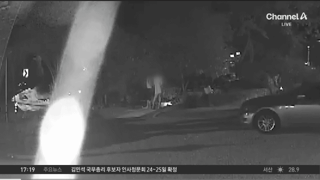 강아지한테 비비탄 쏜 사건 난리난 이유.jpg | 인스티즈