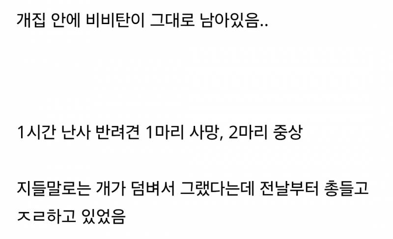 강아지한테 비비탄 쏜 사건 난리난 이유.jpg | 인스티즈